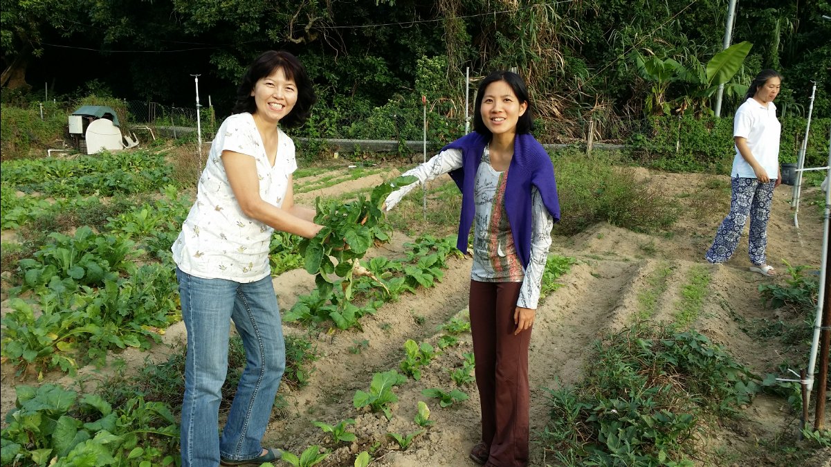 20131124 Organic Farm29